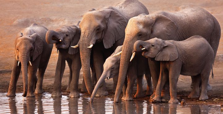 c2f87b40-e865-11e8-bdde-068ed014655a