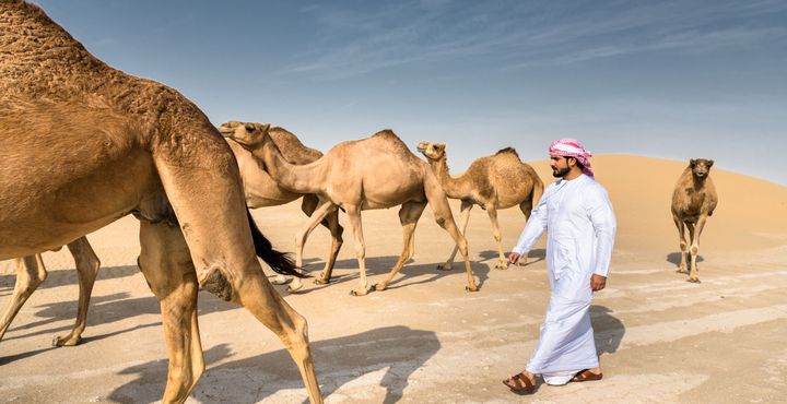 31a1e1d4-e858-11e8-801e-068ed014655a