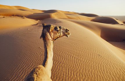 Orient National Geographic Expeditions Marokko Und Jordanien