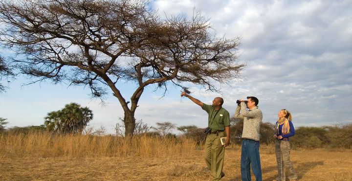 99f74e9c-e856-11e8-a428-068ed014655a