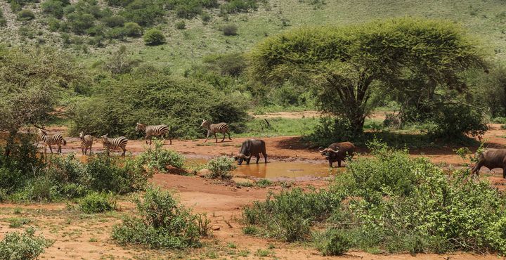 992746fc-e856-11e8-bd6a-068ed014655a