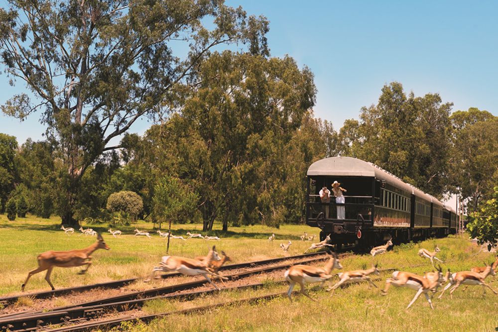 Sudafrika Zugreise Unterwegs Im Legendaren Rovos Rail Itravel De