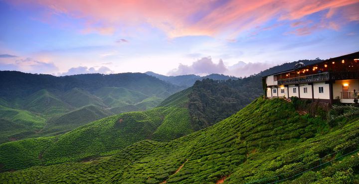 984af292-e865-11e8-a1ef-068ed014655a