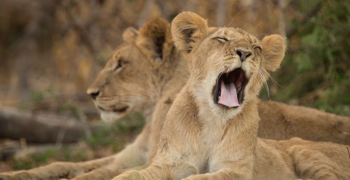 151695fc-e865-11e8-890d-068ed014655a