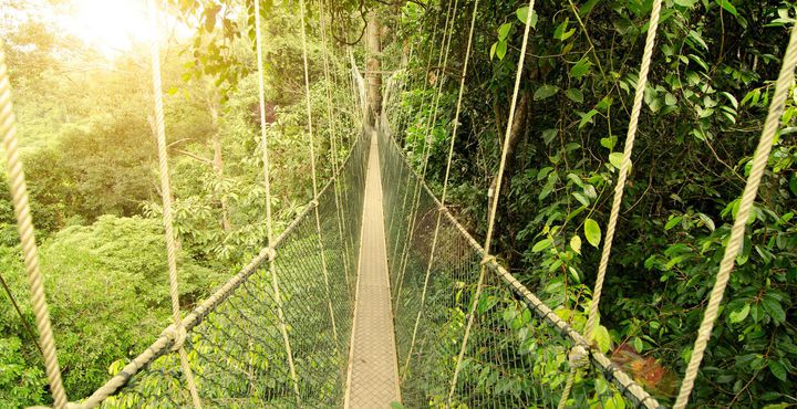 967838ee-e865-11e8-9280-068ed014655a