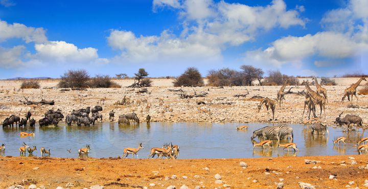 c7390332-e865-11e8-b696-068ed014655a