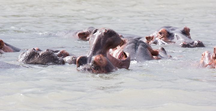 ac70ac64-e859-11e8-9676-068ed014655a