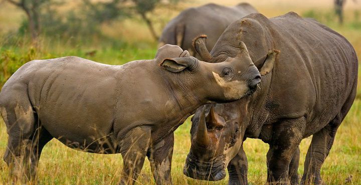 9d75e81c-e856-11e8-8a30-068ed014655a