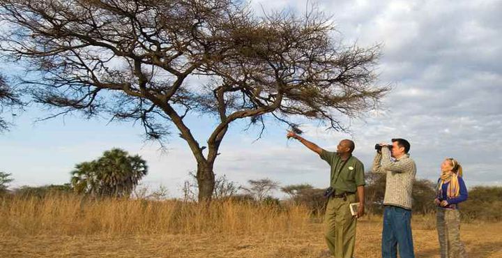 41437dfc-e856-11e8-84e1-068ed014655a