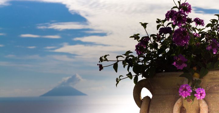 7c15de74-e866-11e8-b6ac-068ed014655a