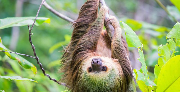 e9691ba2-e858-11e8-91bc-068ed014655a